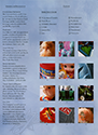 JEM Hasbro 1986 US Annual Report