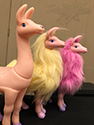 Jem and her pet Dolli Llama